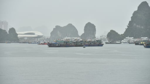 B&atilde;o Maysak (b&atilde;o số 1), ứng ph&oacute; b&atilde;o, tin mới nhất từ Quảng Ninh