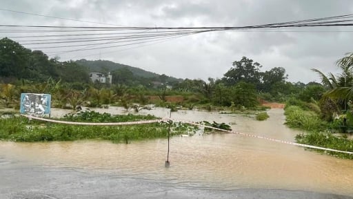 Ph&uacute; Thọ: Khẩn trương k&iacute;ch hoạt kịch bản ứng ph&oacute; khẩn cấp với b&atilde;o số 1 Maysak