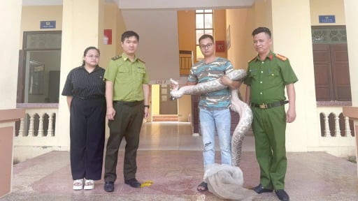 Lực lượng chức năng tỉnh Ninh B&igrave;nh thu giữ, b&agrave;n giao 1.735 con động vật hoang d&atilde; để cứu hộ