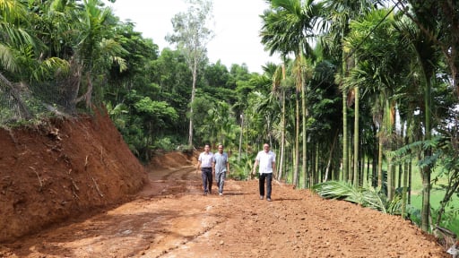 Sau 24 năm chịu cảnh đi lại chật hẹp, nay người d&acirc;n Sơn Cẩm H&agrave;, Đ&agrave; Nẵng, ph&aacute; r&agrave;o đ&aacute;, chặt c&acirc;y cau để mở đường mới