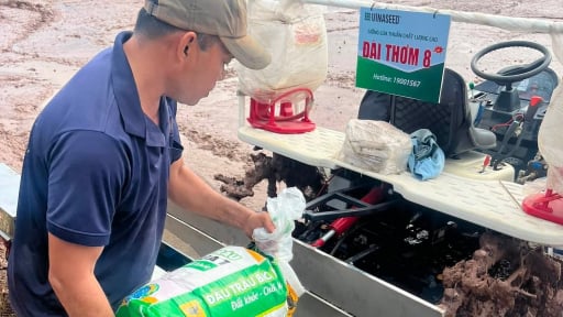 &Aacute;p dụng m&aacute;y sạ cụm b&oacute;n v&ugrave;i ph&acirc;n, n&ocirc;ng d&acirc;n H&agrave; Nội giảm nhiều giống, ph&acirc;n b&oacute;n, giảm ph&aacute;t thải