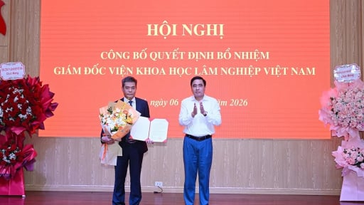 Viện Khoa học L&acirc;m nghiệp Việt Nam c&oacute; t&acirc;n Gi&aacute;m đốc