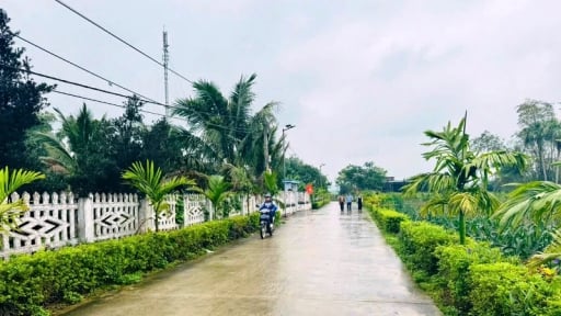 Tuyến đường n&ocirc;ng th&ocirc;n mới trồng hoa, trồng c&acirc;y xanh đẹp như phim ở một x&atilde; mới của tỉnh Thanh H&oacute;a