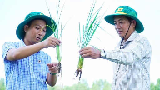 Chuyện người n&ocirc;ng d&acirc;n 'đ&aacute;nh thức' v&ugrave;ng đất ph&egrave;n
