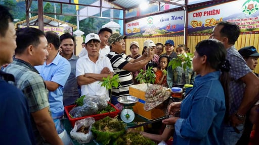 Đ&agrave; Nẵng th&agrave;nh lập nhiều Tổ c&ocirc;ng t&aacute;c đốc th&uacute;c tiến độ giải ng&acirc;n vốn Mục ti&ecirc;u quốc gia x&acirc;y dựng n&ocirc;ng th&ocirc;n mới