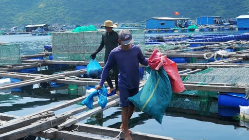 Th&uacute;c đẩy ph&aacute;t triển kinh tế biển: M&ocirc;i trường, hệ sinh th&aacute;i biển phải được 't&ocirc;n trọng', sử dụng bền vững