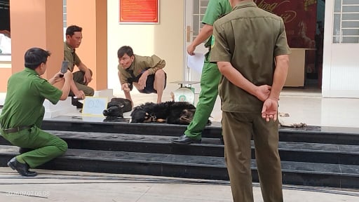 Tr&ecirc;n đường đi b&aacute;n bị va chạm giao th&ocirc;ng, đối tượng nghi trộm l&agrave;m văng bao tải chở 4 con ch&oacute;