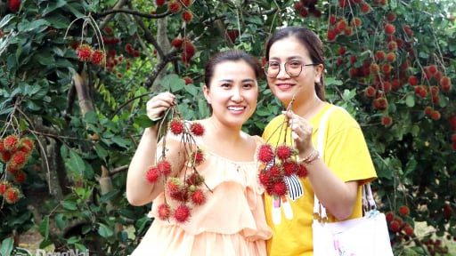 C&aacute;c loại tr&aacute;i c&acirc;y đặc sản, quả n&agrave;o cũng ngọt ngon, ở Đồng Nai, sao người ta cứ v&ocirc; tận vườn bẻ, l&agrave;m th&ecirc;m v&agrave;i kiểu ảnh