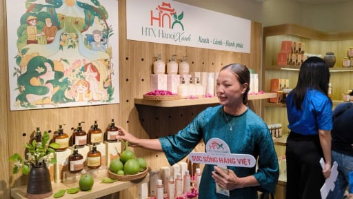 Hiểu lầm khiến doanh nghiệp nhỏ thờ ơ với k&ecirc;nh dẫn sản phẩm gi&aacute; trị h&agrave;ng triệu USD