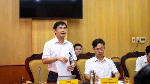 Hơn 5.100 người hoạt động kh&ocirc;ng chuy&ecirc;n tr&aacute;ch ở Th&aacute;i Nguy&ecirc;n thuộc diện d&ocirc;i dư sau sắp xếp