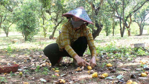 Những vấn đề n&oacute;ng n&agrave;o được cử tri phản &aacute;nh tới kỳ họp HĐND th&agrave;nh phố Đồng Nai?