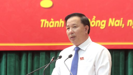 Nhiều dự &aacute;n chậm triển khai ở Đồng Nai bị xử l&yacute;, Chủ tịch UBND th&agrave;nh phố n&oacute;i g&igrave; về t&igrave;nh trạng đầu cơ, '&ocirc;m' đất?