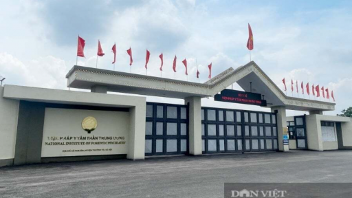 Nữ kiểm s&aacute;t vi&ecirc;n t&aacute;c động c&ocirc;ng an, gi&uacute;p Nguyễn Thị Mai Anh được gi&aacute;m định t&acirc;m thần