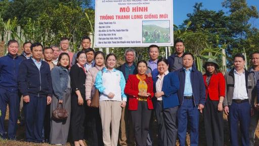 Những khu vườn đẹp cho tr&aacute;i ngon ở Tuy&ecirc;n Quang, cả ngh&igrave;n kh&aacute;ch gần kh&aacute;ch xa t&igrave;m đến, n&ocirc;ng d&acirc;n nh&agrave;n nh&atilde; thu tiền