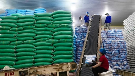 Đang mua của Th&aacute;i Lan, một quốc gia Trung Đ&ocirc;ng bất ngờ mua lượng gạo khổng lồ của Việt Nam