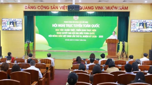 Gần 98.000 c&aacute;n bộ, hội vi&ecirc;n học tập Nghị quyết Đại hội IX, đưa Nghị quyết sớm v&agrave;o cuộc sống
