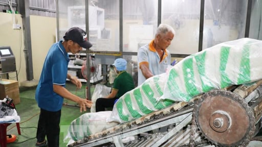 Một loại n&ocirc;ng sản chủ lực của Việt Nam gi&aacute; tăng vọt, loại kh&aacute;c gi&aacute; cao nhất trong 3 th&aacute;ng, đ&oacute; l&agrave; 2 loại hạt g&igrave;?