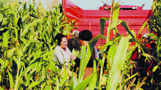 Cuba ra quy định mới nhất về việc cấp quyền sử dụng đất n&ocirc;ng nghiệp, thủ tục đ&atilde; đơn giản h&oacute;a như thế n&agrave;o?