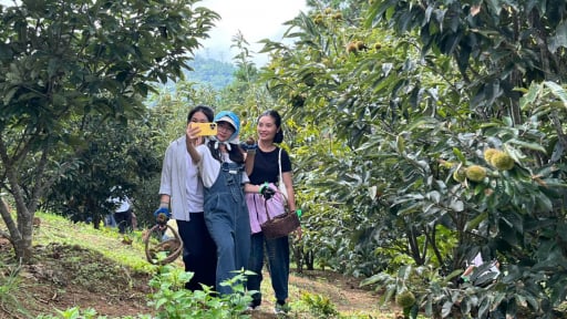 Biến vườn nho, vườn hạt dẻ th&agrave;nh nơi 'lao xao chụp ảnh', n&ocirc;ng d&acirc;n Lạng Sơn kiếm tiền theo c&aacute;ch &iacute;t ai ngờ