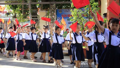 Tuyển sinh đầu cấp, nhiều trường học tại TP.HCM cảnh b&aacute;o phiếu nhập học giả mạo