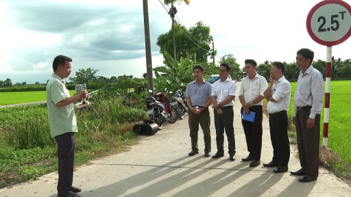 X&atilde; Kế S&aacute;ch, Cần Thơ (địa phận S&oacute;c Trăng cũ) tổ chức sự kiện quan trọng n&agrave;y li&ecirc;n quan c&aacute;ch trồng l&uacute;a tốt nhất hiện nay