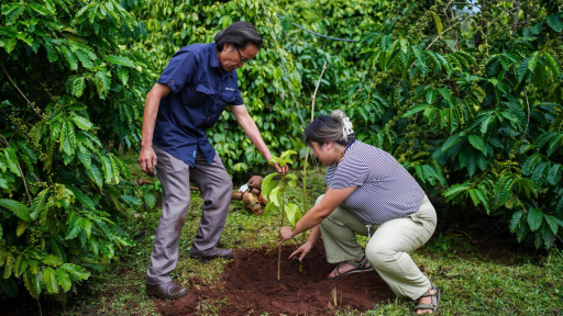 RAINFOREST ALLIANCE th&uacute;c đẩy n&ocirc;ng nghiệp t&aacute;i sinh, cải thiện sinh tế n&ocirc;ng d&acirc;n Việt v&agrave; phục hồi hệ sinh th&aacute;i 