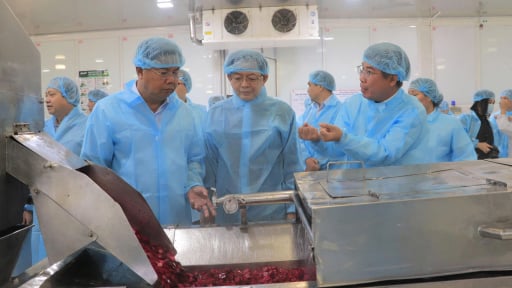 Ph&oacute; Thủ tướng Hồ Quốc Dũng c&oacute; chỉ đạo quan trọng li&ecirc;n quan đến ng&agrave;nh h&agrave;ng c&aacute; tra, chế biến n&ocirc;ng sản của An Giang