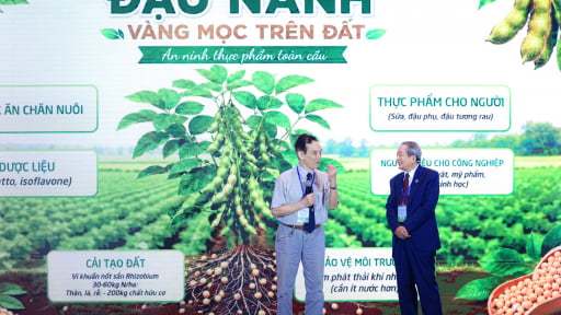 Đậu n&agrave;nh kh&ocirc;ng chỉ l&agrave; thực phẩm, c&aacute;c chuy&ecirc;n gia c&ograve;n gọi đ&acirc;y l&agrave; 'v&agrave;ng mọc tr&ecirc;n đất' v&igrave; l&yacute; do &iacute;t người biết