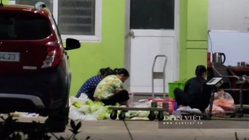 H&agrave; Nội ph&aacute;t hiện vi phạm trong tổ chức bữa ăn b&aacute;n tr&uacute; trường học tại nhiều x&atilde;
