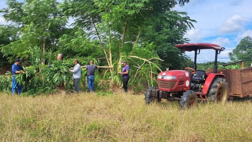 Trồng l&uacute;a ở Cuba, chuy&ecirc;n gia Việt Nam chỉ c&aacute;ch l&agrave;m ph&acirc;n b&oacute;n từ... l&aacute; c&acirc;y, nay Cuba quyết thay đổi một việc quan trọng