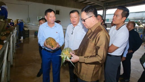 Bộ trưởng Bộ N&ocirc;ng nghiệp v&agrave; M&ocirc;i trường L&agrave;o thăm v&agrave; l&agrave;m việc tại DOVECO: Mở ra cơ hội hợp t&aacute;c n&ocirc;ng nghiệp bền vững
