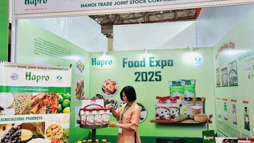 Hạt điều rang Hapro: Chất lượng đảm bảo từ Thương hiệu Quốc gia Vietnam Value