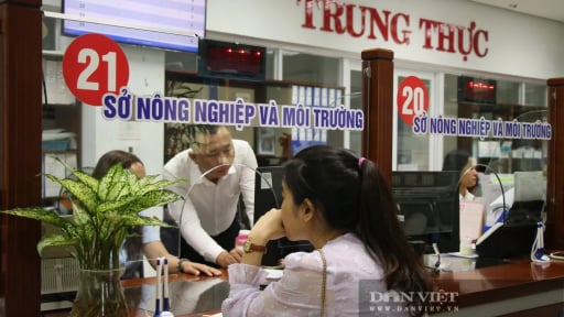 Đ&agrave; Nẵng triển khai Kế hoạch 100 ng&agrave;y xử l&yacute; điểm nghẽn chuyển đổi số trong hệ thống ch&iacute;nh trị
