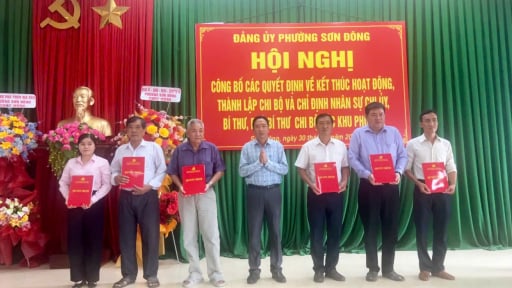 S&aacute;p nhập th&ocirc;n, tổ d&acirc;n phố mới nhất ở Vĩnh Long, phường Sơn Đ&ocirc;ng (địa phận Bến Tre) chỉ định nh&acirc;n sự mới th&agrave;nh c&ocirc;ng