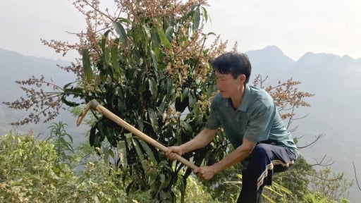 Đất cằn 'nở hoa, kết trái' nhờ Báo Dân Việt