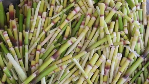 Chồi rừng non bấn ở Lào Cai thực ra là loại rau rừng đặc sản gì, hễ thấy là muốn mua liền?