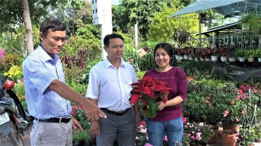 Hội Nông dân một thị trấn ở Bà Rịa-Vũng Tàu chủ động tham gia phát triển 'du lịch, dịch vụ, thương mại, nông nghiệp'