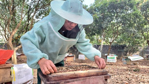 Từ 'duyên' với đàn ong 'bay lạc' đến thu nhập trăm triệu nhờ vốn Quỹ Hỗ trợ nông dân