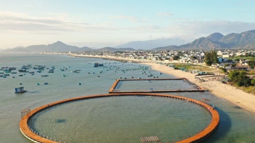 Làm 'chuồng' khổng lồ nuôi mực ở Ninh Thuận, một mô hình nuôi biển hiện đại thế này đây