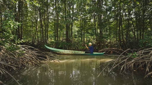 Một huyện của Cà Mau 3 mặt giáp biển, dân nuôi con gì trong rừng hễ trông thấy ai cũng muốn mua?
