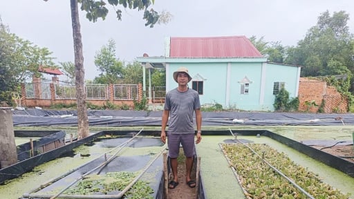 Con đặc sản hiền như cục đất, ham ăn đồ rẻ tiền, nuôi thành công ở Bình Phước, một nông dân lãi 1,4 tỷ