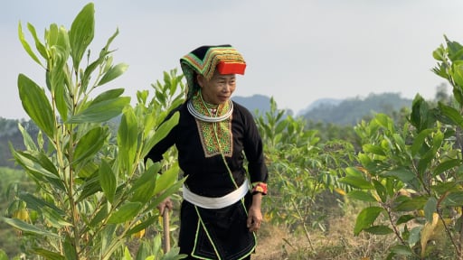 Dẫn vốn tín dụng chính sách kịp thời về cho người dân, một xã vùng 3 ở Lạng Sơn giảm nhanh tỷ lệ hộ nghèo 