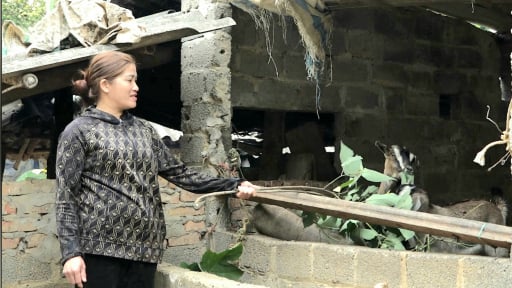 Trao “cần câu”, mở lối thoát nghèo bền vững cho nông dân huyện vùng cao ở Hòa Bình 