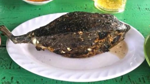 Bè nổi bán cá bò hòm với giá 3,5 triệu đồng/kg, Chủ tịch tỉnh Khánh Hòa chỉ đạo kiểm tra, xử lý