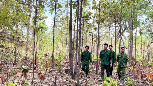 Ở Gia Lai, vì sao nhiều công chức, người lao động ngành kiểm lâm xin nghỉ việc?