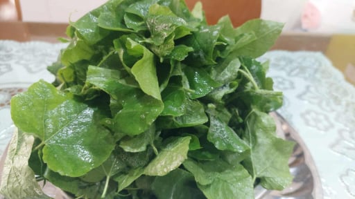 Ngó lơ cá thịt đi, ăn loại rau dại mùa hè này, đêm đặt lưng xuống, giấc ngủ 'tự tìm về nhà'