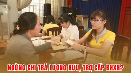 Từ 1/7/2025: Những trường hợp nào sẽ bị tạm dừng hoặc chấm dứt chi trả lương hưu, trợ cấp BHXH?