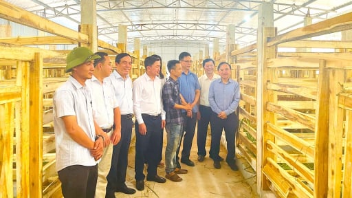Một HTX ở Hà Tĩnh dùng công nghệ nuôi cấy mô trong nhân giống cây trồng, ai nhìn vô cũng 'choáng'