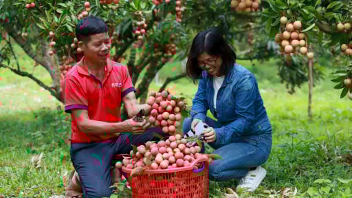 Kỷ niệm 41 năm Báo Nông thôn Ngày nay ra số đầu tiên: Nghĩa tình với nông dân, nông nghiệp sau mỗi bài báo