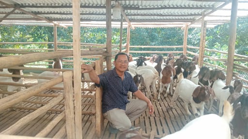 Một hợp tác xã ở Đồng Nai nuôi con gì cũng ăn nên làm ra, thu 7 tỷ/năm